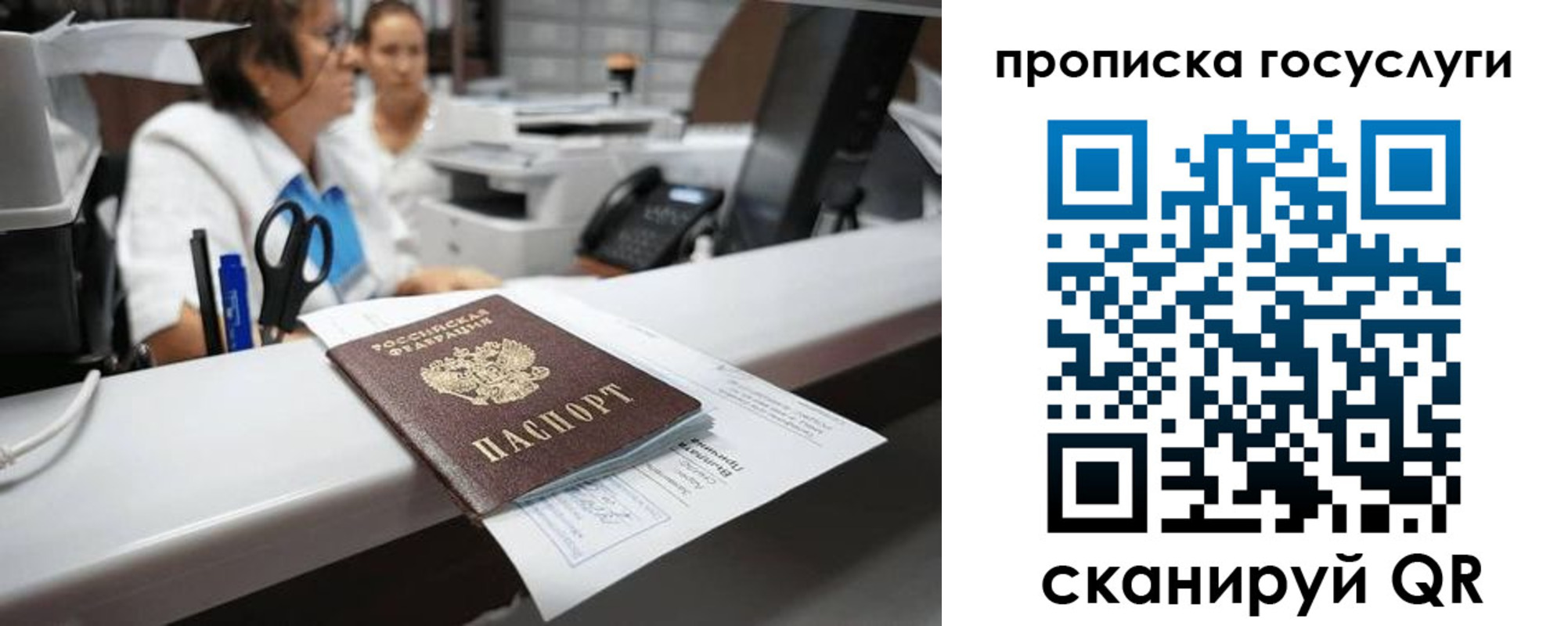 где прописаться в Покрове